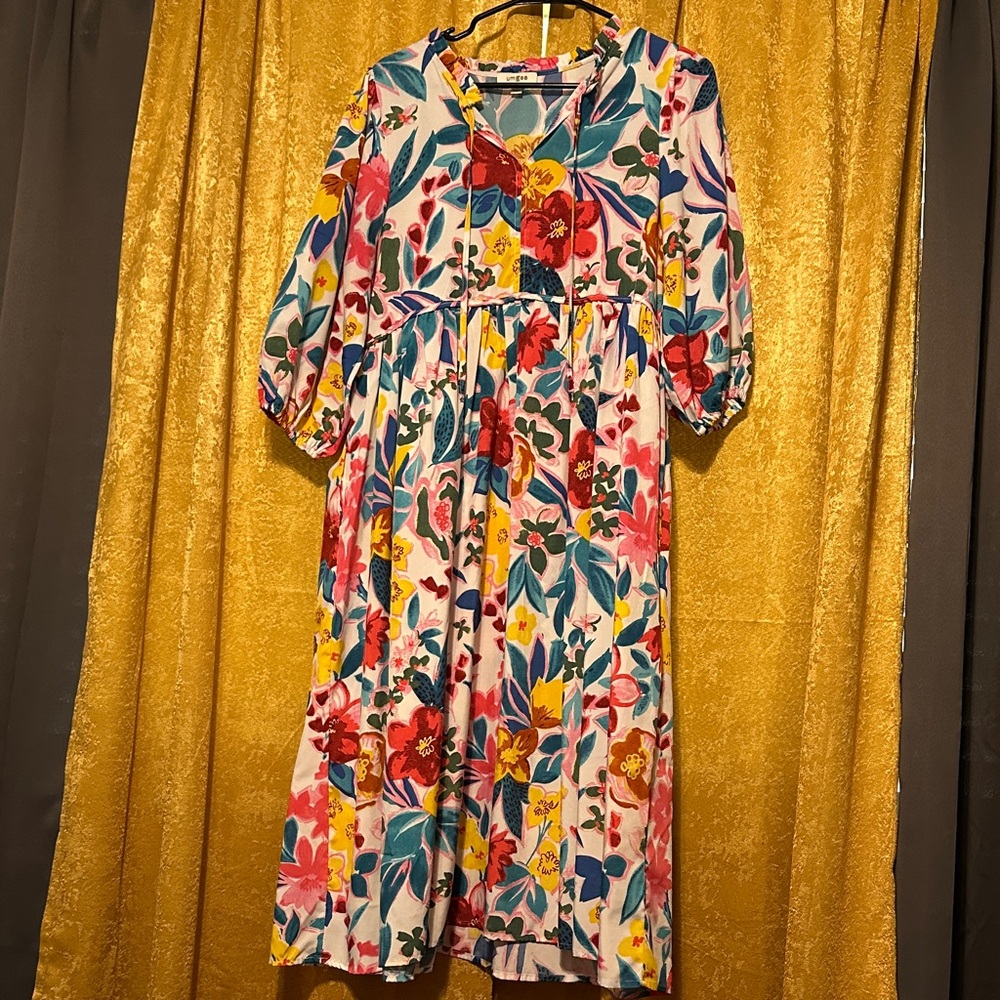 Umgee Colorful Floral Dress